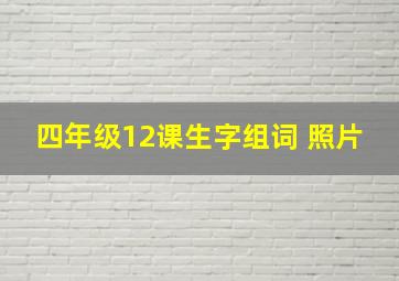 四年级12课生字组词 照片